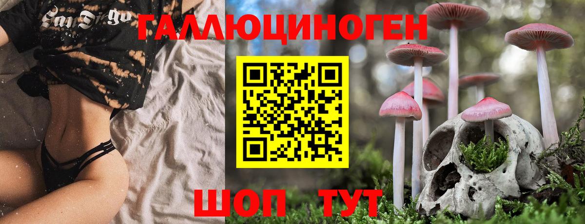 Галлюциногенные грибы GOLDEN TEACHER  Вход с VPN  Сургут 